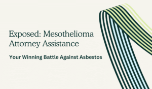 Mesothelioma Attorney Assistance - Your Winning Battle Against Asbestos: Exposed